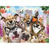 Puzzle 3D - Selfie - Kućni ljubimci 500 kom 61x46cm