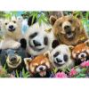 Puzzle 3D - Medvedi 500 kom 61x46cm Selfi